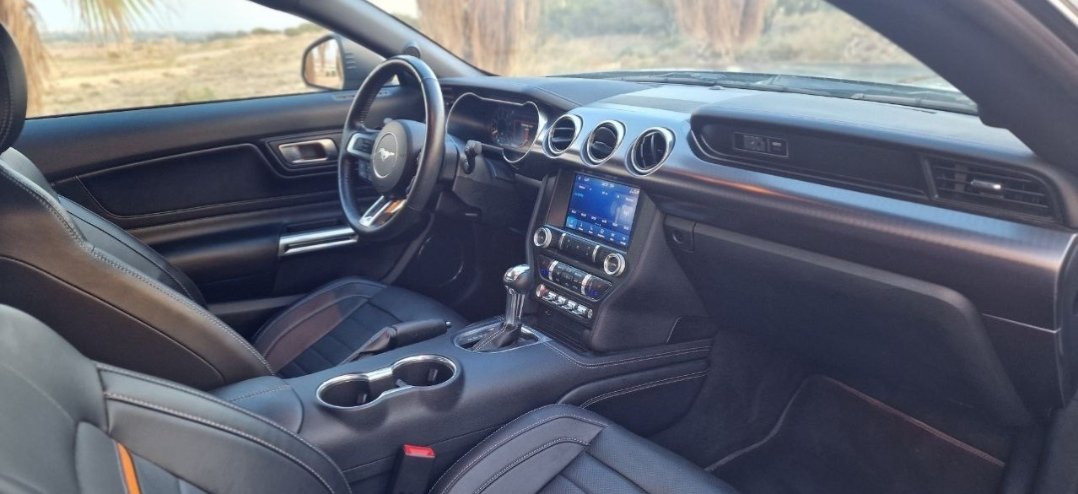 Ford Mustang Mach 1 - imagen 9